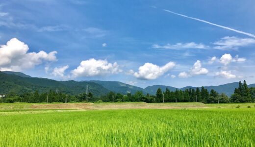 試験日も近付いてきました