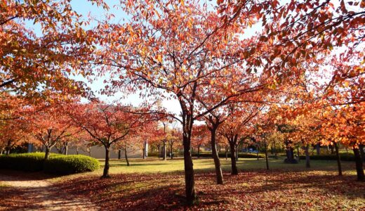 肌寒い季節の到来