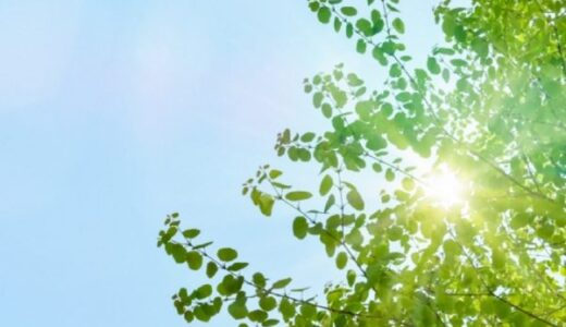 暑さを感じる季節