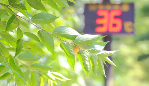 健康第一でいきましょう