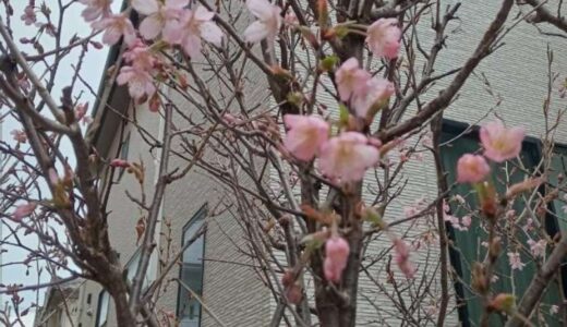 いつかまた会う日まで
