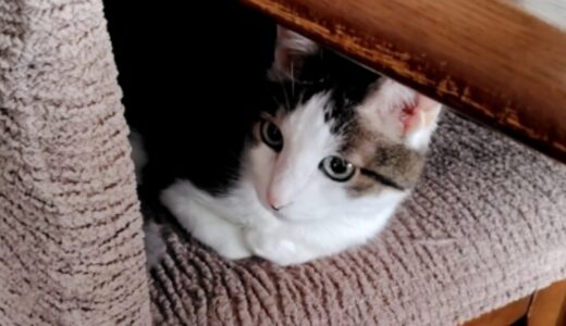 検定試験まであと少し